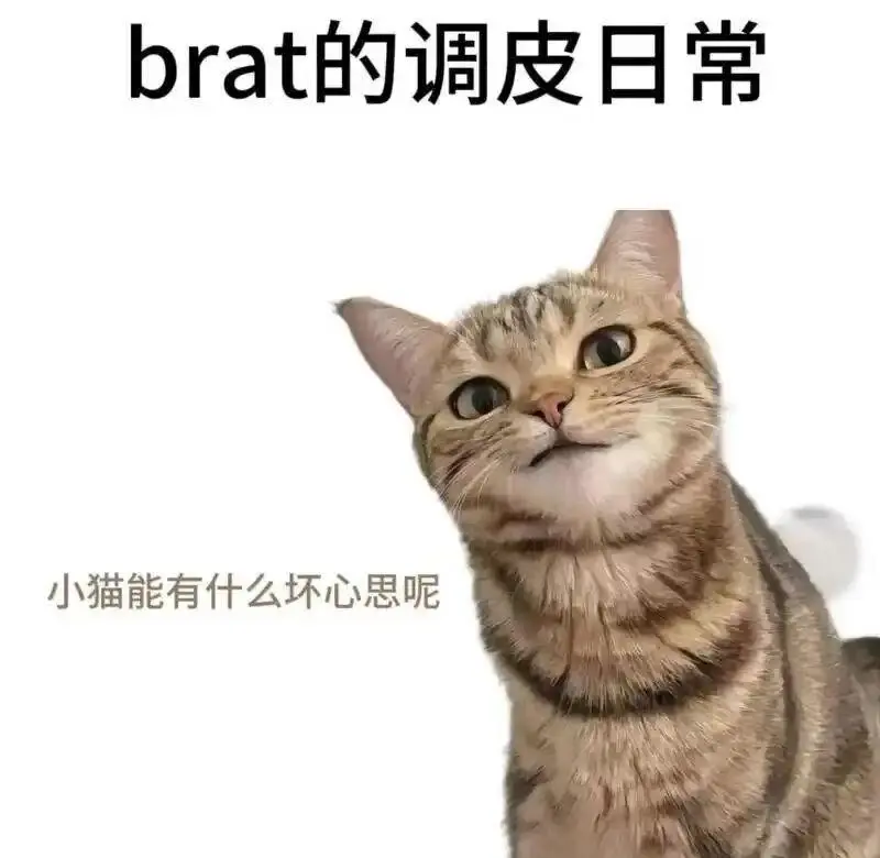 西檬之家TS是什么意思? 一