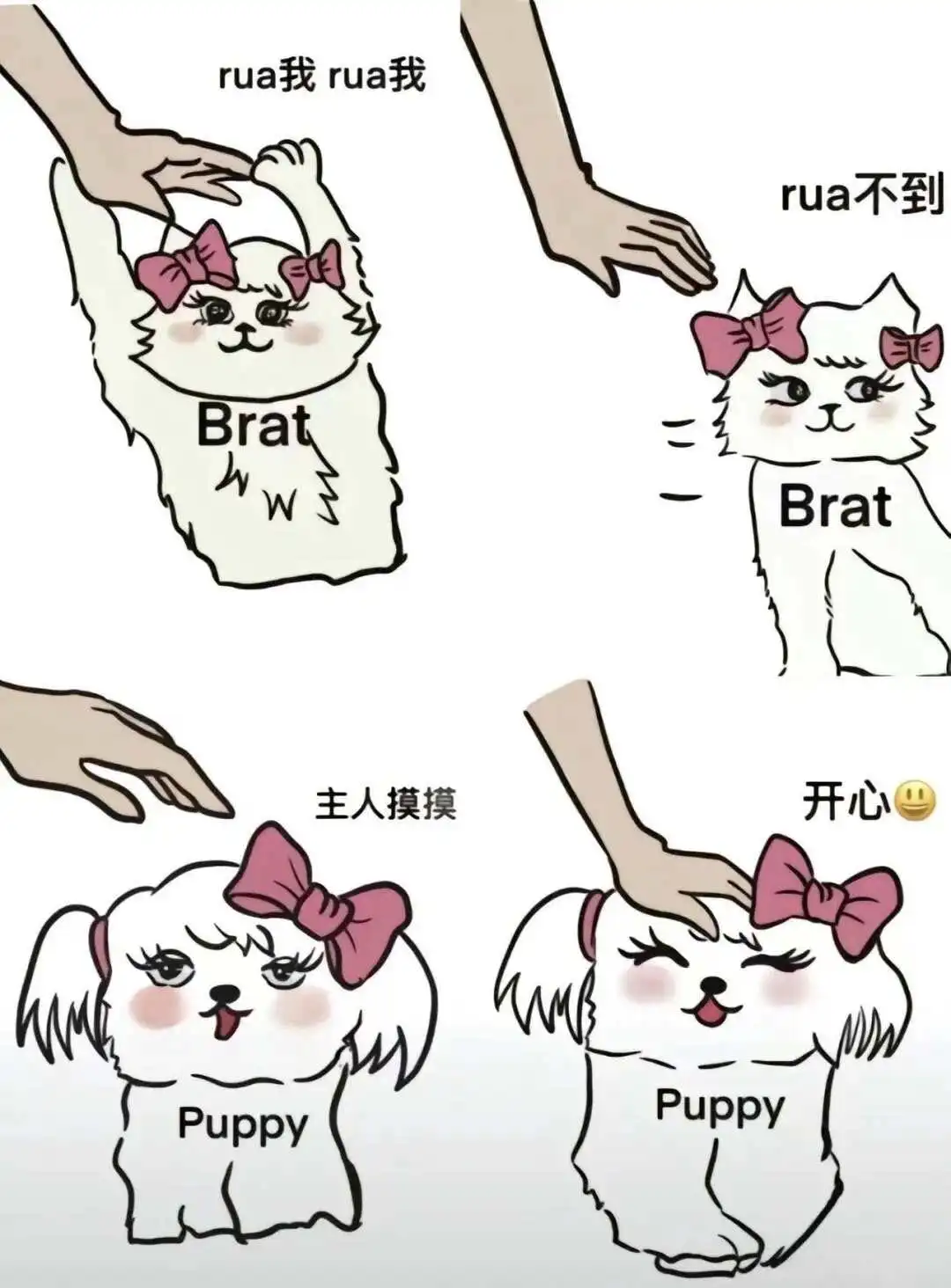 西檬之家什么是小圈?字母圈新人入门指南 一