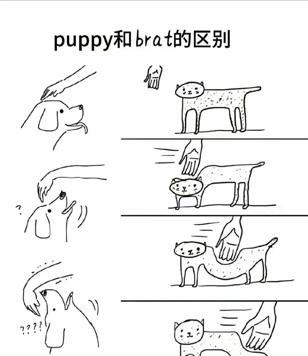 西檬之家Dirty talk是什么?你的字母圈说话方式是什么 一