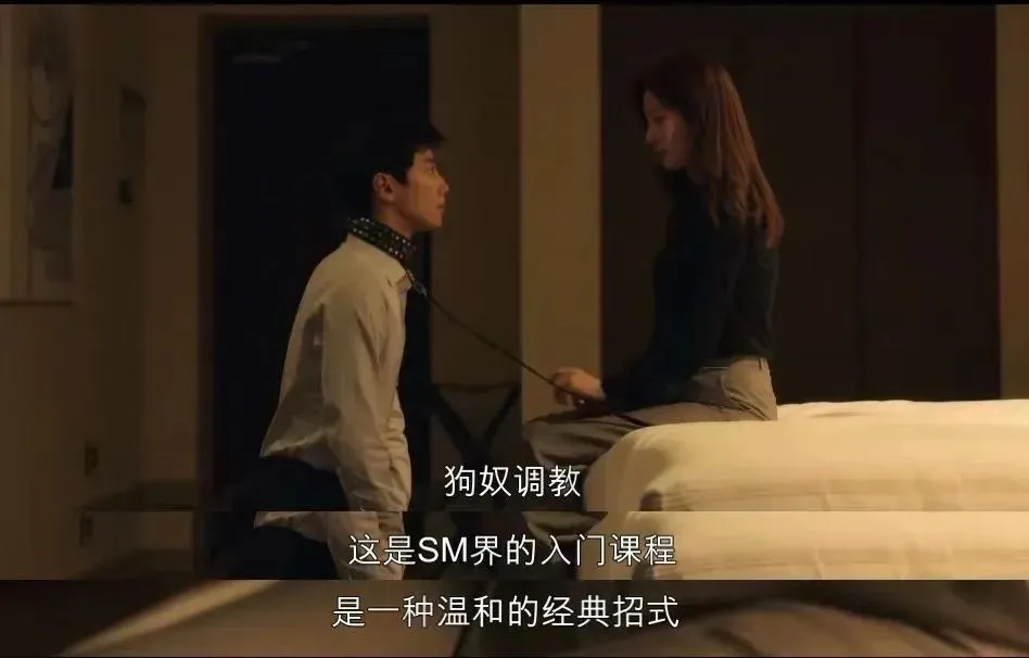西檬之家BDSM入圈指南:新人必读 一