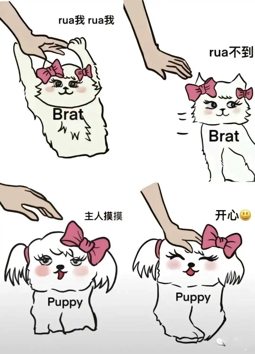 西檬之家Dirty talk是什么?字母圈新人入圈指南 一