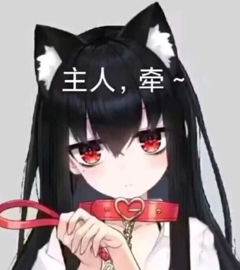 西檬之家k8是什么?你的字母圈属性是什么 一
