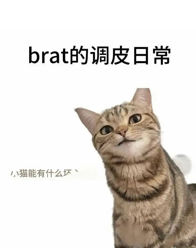 西檬之家Dirty Talk是什么?字母圈新人必看 一