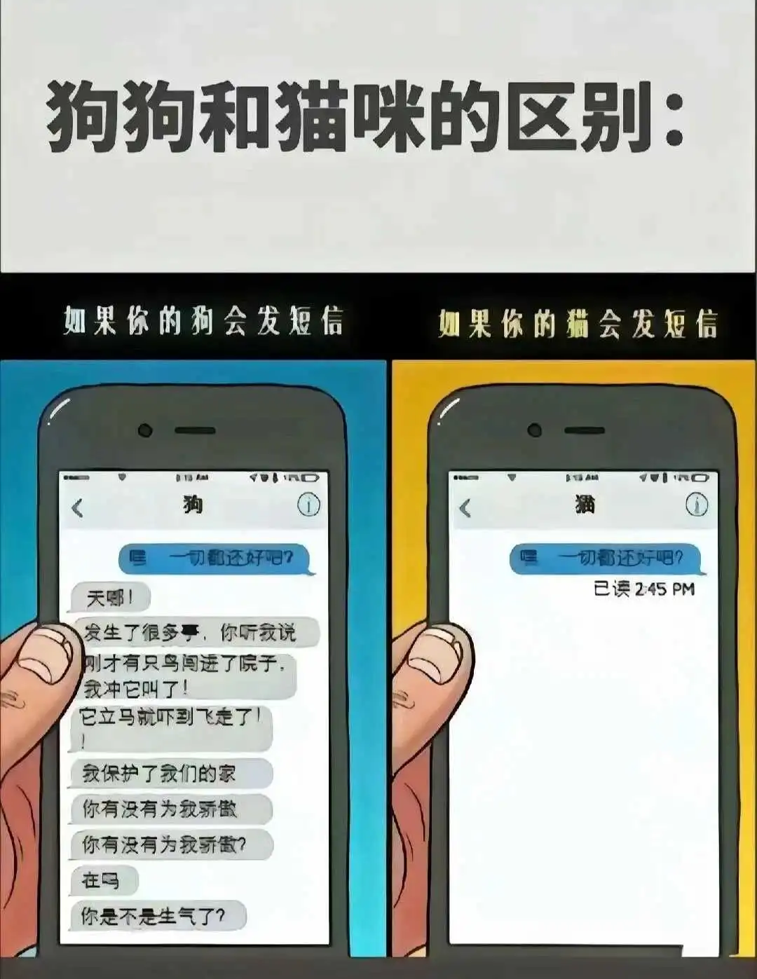 西檬之家字母圈PE是什么? 一