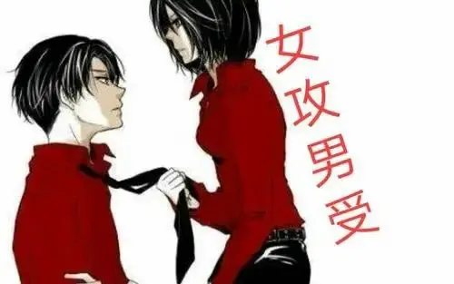 西檬之家k9是什么? 一