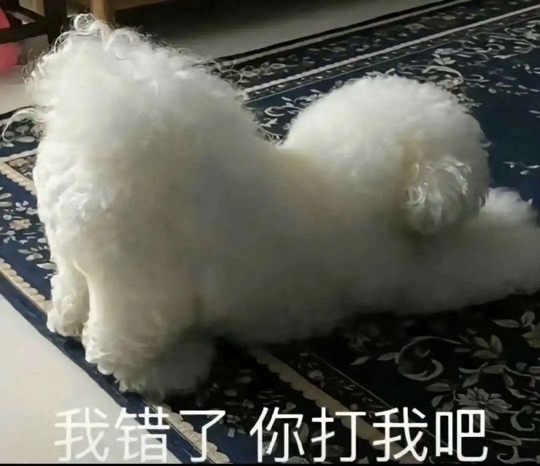 西檬之家BDSM是什么?字母圈新人入圈指南 一
