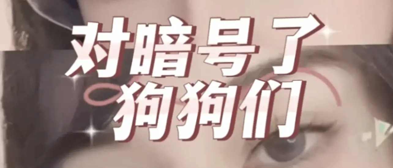 西檬之家字母圈新人如何认识女王? 一